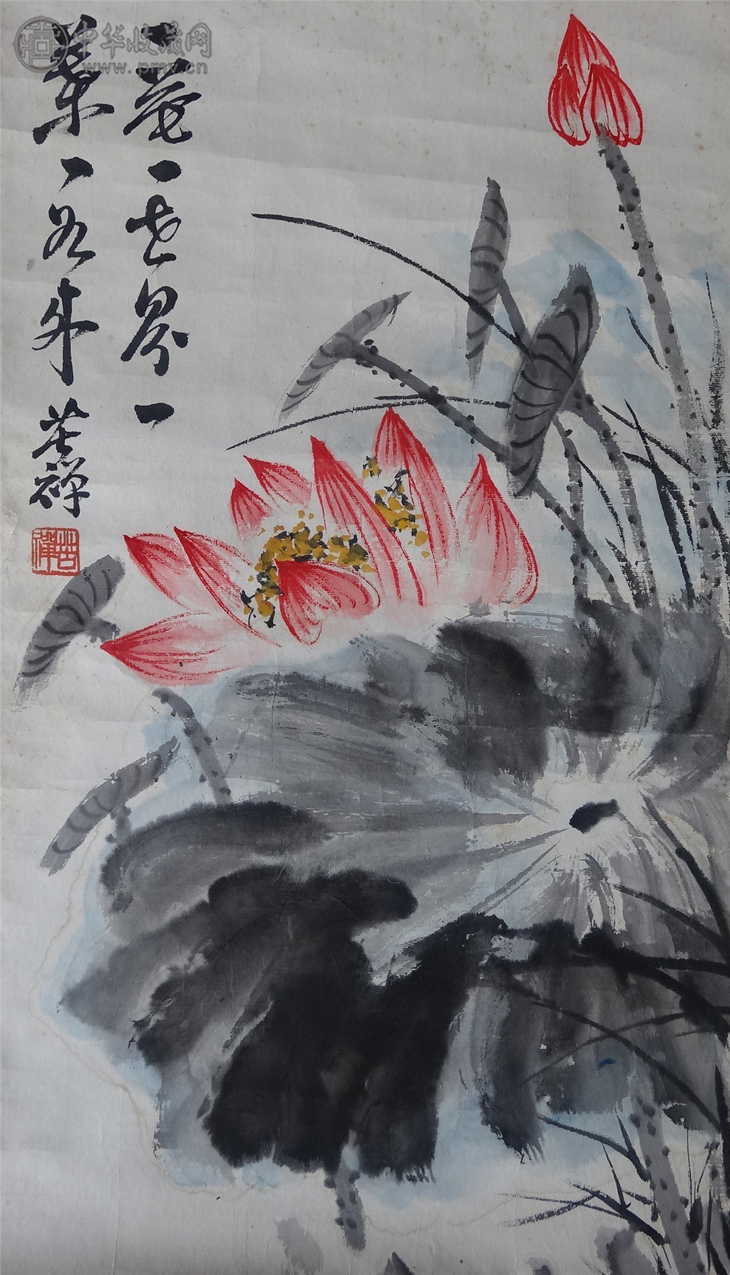 李苦禪  《荷花》  46X68cm
